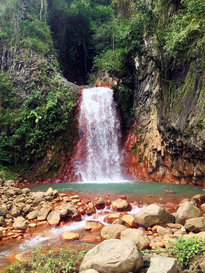 Niulincun: Cloud Forest and Sky Walk in Yongchun
